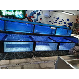 生态鱼缸价格-安徽赛冬鱼缸(在线咨询)-宣城鱼缸