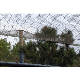 钢丝防护网-骐骏围栏-*防护网钢丝