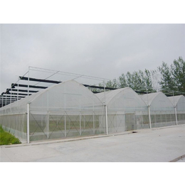 青州瀚洋农业-连栋温室-智能连栋温室