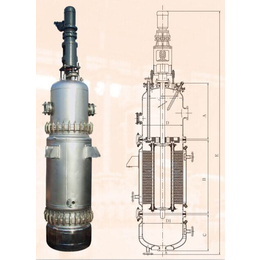 多效刮膜蒸发器尺寸-刮膜蒸发器尺寸-程明化工搪玻璃反应釜