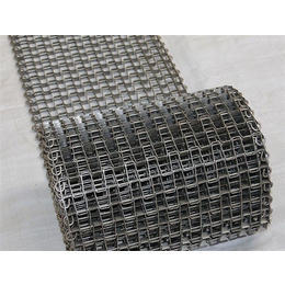 耐腐蚀不锈钢链板-衡水输送网带-304不锈钢输送网带(多图)
