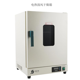 上海精宏电热鼓风干燥箱DHG-9146A 实验烤箱 恒温烘箱