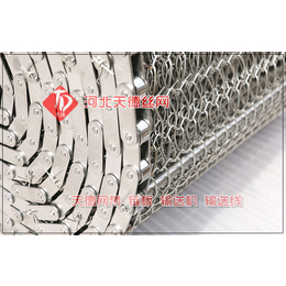 全椒网带-天德传送带厂家-锅巴生产线不锈钢网带