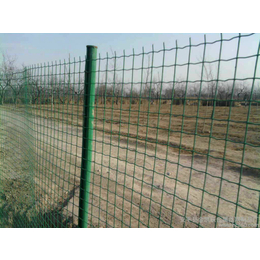 绿色卷网-1.5x30米养鸡铁丝网价格-宝鸡养鸡铁丝网