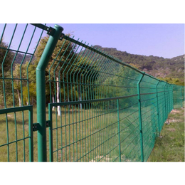 围栏网生产厂家-白城围栏网-果园围栏网(在线咨询)
