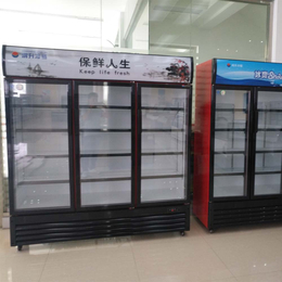 福建福州卖饮料啤酒柜 单双三门冷藏冷冻展示柜厂家