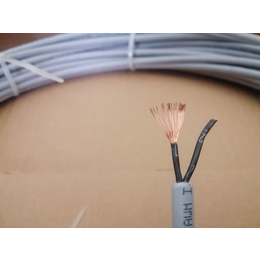 易格斯高柔性控制电缆2芯1平方igus CF77