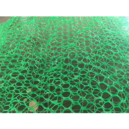 来宾三维植被网-信联土工材料-三维植被网垫
