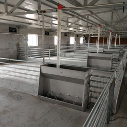 一套自动化料线多少钱  养猪料线厂家供应