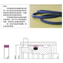 国产KZT型四氟材质*支承环