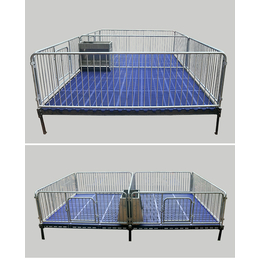 仔猪保育床山东小猪保育栏厂家*双体仔猪保育床*热镀锌围栏