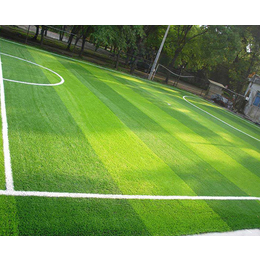 网球场人造草坪-安徽坦跃(在线咨询)-安庆人造草坪