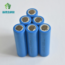 广东云浮锂电池定制厂家-新锂念科技-广东云浮锂电池