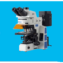 偏光显微镜价格-领卓(在线咨询)-厦门偏光显微镜