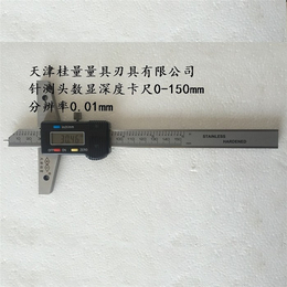 非标卡尺规格-桂量量具(在线咨询)-鄂尔多斯非标卡尺