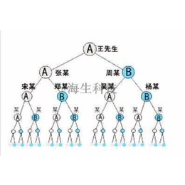 公排系统模式源码定制开发