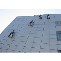 汉南高空外墙清洗-武汉山猫清洁服务-玻璃高空外墙清洗价格