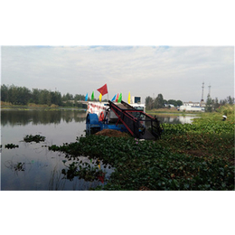 廉江割草机船-青州科大环保-打捞收割水面割草机船