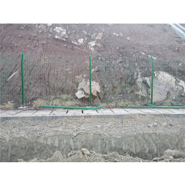 厂家现货低碳铁丝浸塑安全围栏双边丝护栏养殖圈地双边丝护栏网