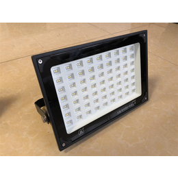 沧州LED投光灯具公司 ZY609LED户外泛光灯 节能环保