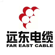 远东电缆有限公司湖北武汉分公司