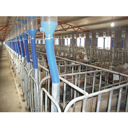 聊城养猪设备-自动化畜牧设备-养猪设备市场