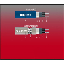 消防管道伴热厂家-亚泰龙(在线咨询)-消防管道伴热