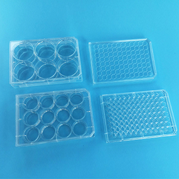 上海晶安定做多聚赖氨酸包被细胞培养板 PLL预处理培养板6孔