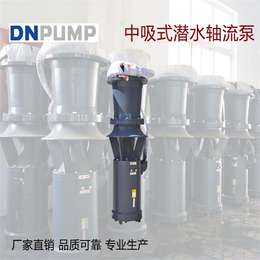 天津潜水轴流泵批发-天津德能泵业有限公司-潜水轴流泵