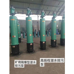 灵谷水泵(图)-高扬程潜水排污泵-潜水排污泵