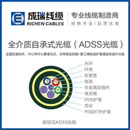 室内光纤光缆价格-台州室内光纤光缆-扬州成瑞线缆公司(查看)