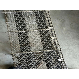 三力机械-益阳不锈钢传动网-304不锈钢传动网