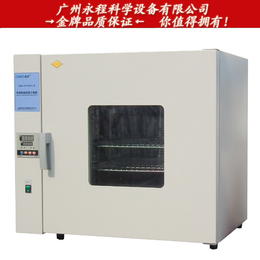 供应上海新苗DHG-9143S 实验高温烤箱 台式鼓风干燥箱