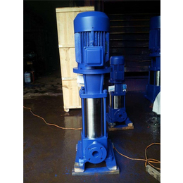 立式多级泵拆卸与安装-山东立式多级泵-华奥水泵厂