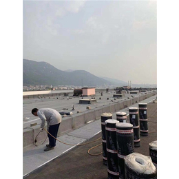 喜盛防水材料公司-机场防水材料厂家-七台河市机场防水材料