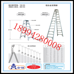 金锚供应FMA3-118IA玻璃钢平台梯 欧洲标准梯子