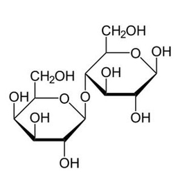乳糖酶制剂开发-普正生物诚信经营-乳糖酶制剂