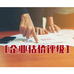 上市企业估价评级-广州企业估价评级-安徽宝鸿企业管理咨询