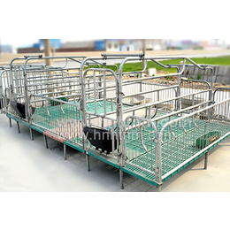 丽水猪分娩栏-恒泰农牧设备正确选择-猪分娩栏生产厂家