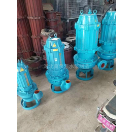 广州潜水渣浆泵-QSZ潜水渣浆泵用途-潜水渣浆泵生产厂家