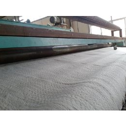 膨润土防水毯-正瑞塑业*-膨润土防水毯生产厂家