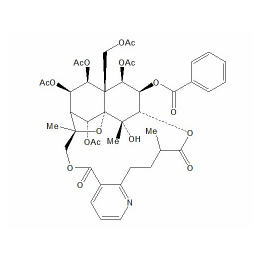 雷公藤次碱 11088-09-8 对照品