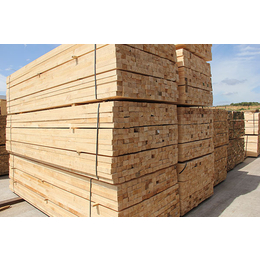 工程木方-名和沪中木业工程木方-工程木方价格