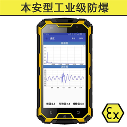 本安振动测量仪售价-青岛东方嘉仪厂家-振动测量仪