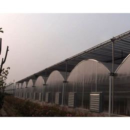异形连栋温室-连栋温室-益兴诚钢构温室工程