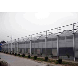 玻璃温室承建-青州鑫华生态农业-莱芜玻璃温室