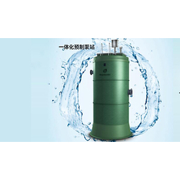 扬州污水一体化泵站 污水泵的品牌服务放心可靠