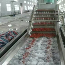 佳美食品机械-上海果蔬气泡清洗机-果蔬气泡清洗机生产商