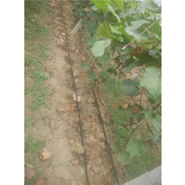 亿安鑫节水灌溉(图)-弯管厂家-南宁弯管