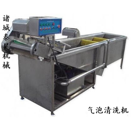 果蔬不锈钢清洗机生产厂家-泰昊机械(推荐商家)